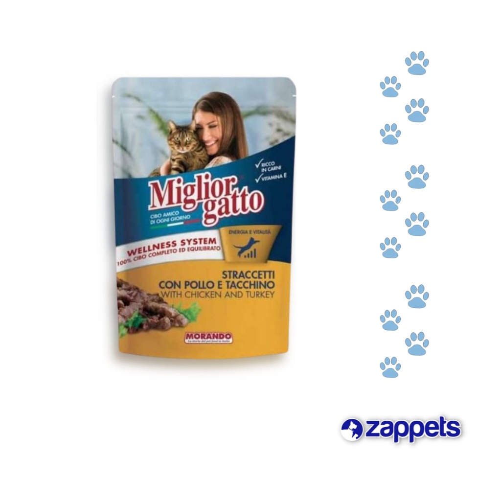 ALIMENTO HUMEDO FELIX 85GR